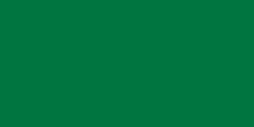 Beta Biothane Smaragdgrün
